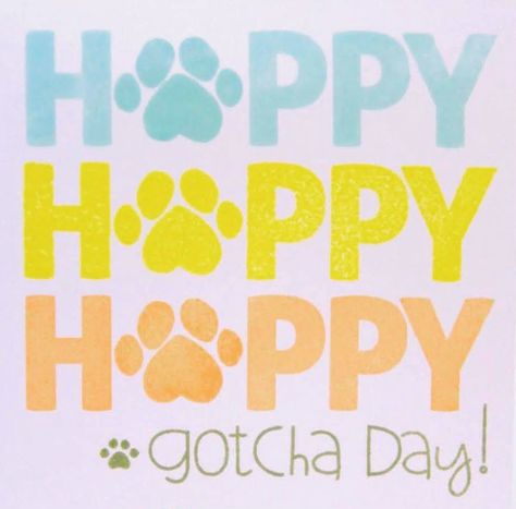 Happy Gotcha Day Dog Quotes, Gotcha Day Quotes Dog, Gotcha Day Quotes, Gotcha Day Dog, Cats Quotes, Chalkboard Fonts, 3 Dogs, Pampered Pets, Gotcha Day