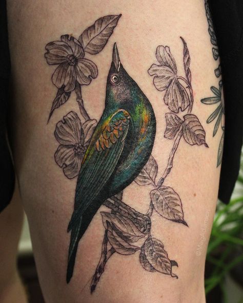 Meg Adamson on Instagram: “I didn’t get the best photo of this #Grackle but man there are a bunch of fun lil details in there.. thanks for giving this project a good…” Grackle Bird Tattoo, Grackle Tattoo, Grackle Bird, Left Arm Tattoos, Tattoos Cute, Cute Little Tattoos, Bird Tattoo, Arm Tattoos, Little Tattoos