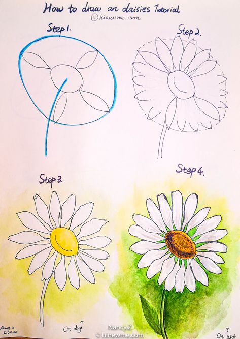 How to draw a watercolor daisy flower tutorial step by step easy for beginner How To Draw Daisies Step By Step, Paint Daisy Easy, Daisy Flower Tutorial Drawing, Daisy Watercolor Painting Easy, Daisy Flower Tutorial, Watercolor Daisy Tutorial, Drawing Daisy, Daisy Flower Watercolor Painting, Watercolor Carnation