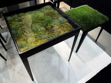 moss table, living furniture, ayodhya, green furniture, organic furniture, plant furniture Terrarium Table, Eco Architecture, Deco Nature, Green Furniture, Living Room Green, Table Vintage, Living Table, Miniature Garden, Garden Table