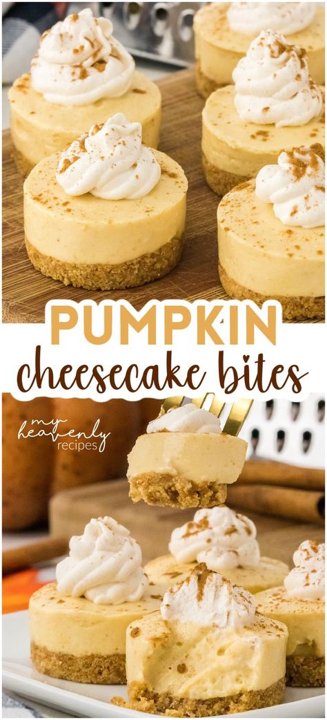 pumpkin cheesecake bites Thanksgiving Finger Food Ideas, Pumpkin Flavored Desserts, Pumpkin Cheesecake Bites, Fall Finger Foods, Halloween Baking Recipes, Easy Thanksgiving Dessert, Thanksgiving Cheesecake, Finger Food Desserts, Mini Cheesecake Bites