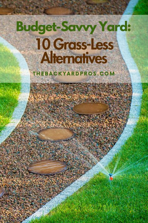 Lush lawns on a budget? Absolutely! Discover 10 affordable alternatives to grass that will keep your yard looking vibrant and inviting without draining your savings! Large Backyard Landscaping On A Budget, Low Budget Landscaping, Backyard Landscaping Affordable, Front Yard Without Grass Ideas, Temporary Landscaping Ideas, Small Yard Landscaping Ideas No Grass Backyard Designs, Affordable Landscaping Ideas Front Yard, Alternatives To Grass In Backyard, Alternative To Mulch Landscaping