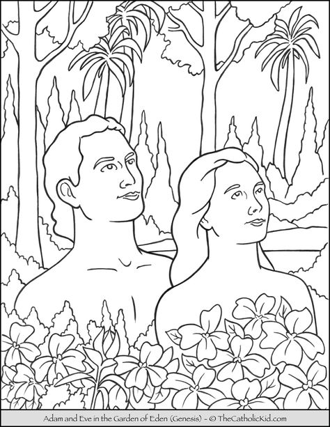 Bible Coloring Page - Adam and Eve in the Garden of Eden - TheCatholicKid.com Train Coloring Pages, Garden Coloring Pages, Christmas Tree Coloring Page, Kindergarten Coloring Pages, The Garden Of Eden, Spring Coloring Pages, Bible Coloring Pages, Catholic Kids, Fall Coloring Pages