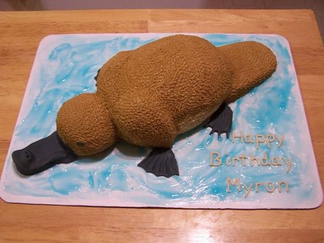 Platypus Cake, Self Thought, Cake Central, Platypus, Animal Projects, Australian Animals, What The Heck, 9th Birthday, 8th Birthday