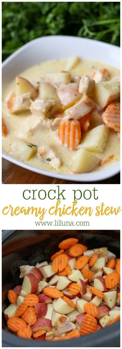 Crock Pot Creamy Chicken Stew - a simple, convenient, and TASTY stew recipe made in the crock pot! Made with chicken, potatoes, carrots, cream of chicken soup, sour cream, ranch dressing mix and more, this soup is BURSTING with flavor!! Crock Pot Creamy Chicken, Chicken Potatoes Carrots, Creamy Chicken Stew, Slow Cooker Chicken Stew, Stew Chicken Recipe, Potatoes Carrots, Ranch Dressing Mix, Crockpot Dishes, Chicken Potatoes