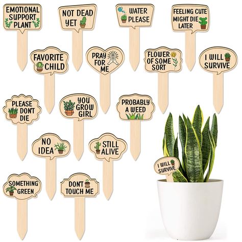 PRICES MAY VARY. Novelty Wooden Plant Markers:Package includes 15pcs wood plant labels with different patterns and funny sayings. Great for decorating your houseplants or any greenery planter pots. Perfect Size:These funny succulent plant tags measure about 4.7*2.8*0.12 inches. It's a perfect size and fit for most plants! Premium Quality:This set of adorable plant markers is made of high:quality basswood and can be used both indoors and outdoors. Each label is printed with cute patterns and funn Cane Lights, Chicken Cards, Painted Planter, Fun Phrases, Ad Inspiration, Plant Puns, Garden Tags, Flag Holder, Garden Labels