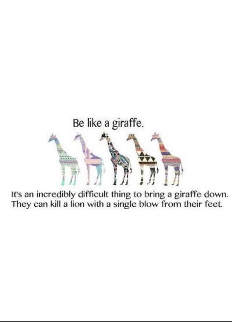 Giraffe Quotes, Friends Best Moments, Funny Giraffe, Strength Quotes, Fun Pics, Meaningful Drawings, Spirit Animals, A Giraffe, Cutest Animals