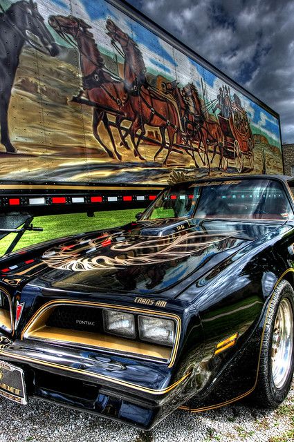 Bandit Trans Am, Movie Cars, The Bandit, Smokey And The Bandit, Tv Cars, Pontiac Cars, Pontiac Firebird Trans Am, Burt Reynolds, Firebird Trans Am