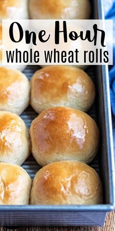 Fast Whole Wheat Bread Recipe, Recipes That Use Whole Wheat Flour, Whole Wheat Yeast Rolls, Easy Wheat Rolls, Whole Wheat Dinner Rolls Recipe Homemade, Quick Whole Wheat Rolls, Honey Wheat Dinner Rolls, Easy Whole Wheat Dinner Rolls, 1 Hour Dinner Rolls Recipe