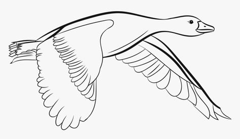 Flying Duck Drawing, Duck Flying, Goose Drawing, Fly Drawing, Duck Drawing, Open Wings, Duck Bird, Bird Drawing, Bird Clipart