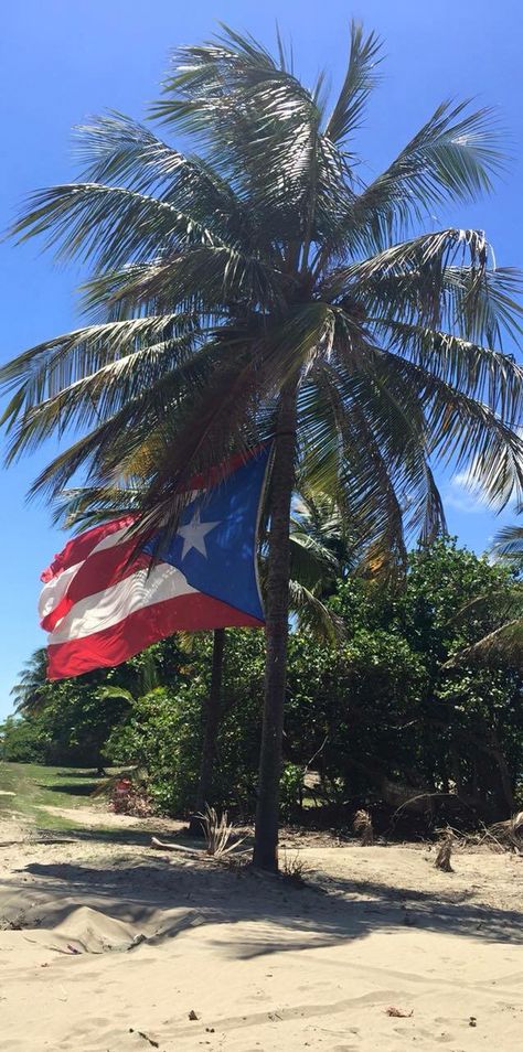 Very soon... ❤️ Puerto Rico Scenery, Puerto Rico Pictures, Puerto Rico Trip, Puerto Rico Vacation, Puerto Rico History, Puerto Rico Art, Puerto Rican Pride, Puerto Rican Culture, Summer Backgrounds