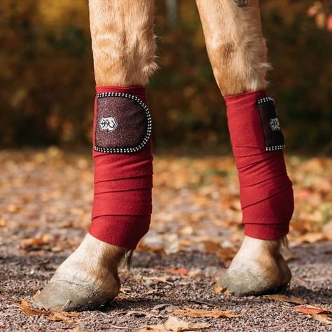 Equestroom (@equestroom) • Instagram-Fotos und -Videos Burgundy Christmas, Bell Boots, Polo Wraps, Red Polo, Horse Boots, Light Touch, Saddle Pads, Christmas Collection, Horse Tack