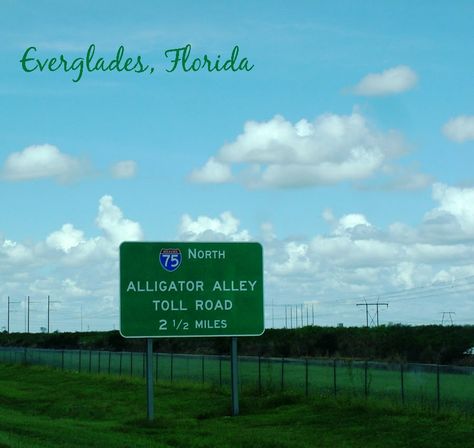 alligator alley florida  #ANCORoadTripContest Travel Key West, Florida Everglades, Toll Road, Everglades Florida, State Of Florida, Yahoo Search, Florida Keys, Fort Lauderdale, Key West