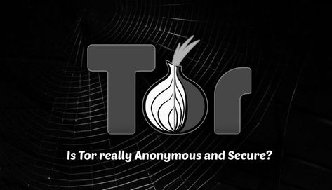 Learn Hacking, Tor Browser, Privacy And Security, Web Research, Technology Hacks, Network Security, Security Solutions, Ip Address, News Website