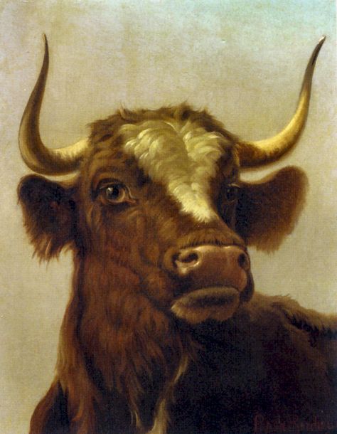 https://flic.kr/p/qbU1S3 | bonheur, rosa - Head of a Bull | Rosa Bonheur  1822-1899  Frankrijk Cow Paintings, Bull Painting, Cow Painting, Animals In Art, A Bull, Cow Art, Women Artists, Oil Painting Reproductions, Animals Artwork