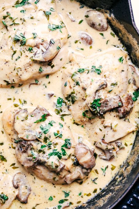 DONE - Creamy Parmesan Herb Mushroom Chicken - delicious, easy, double the mushrooms, serve over angel hair Herb Chicken Recipes, Creamy Mushroom Chicken, Chicken Mushroom Recipes, Marsala Chicken Recipes, Lectin Free, Diner Recept, Creamy Parmesan, Herb Chicken, Chicken Meals