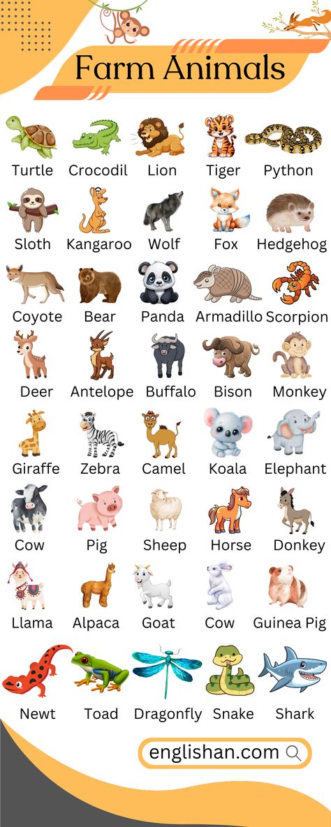 Farm Animals Names in English with Pictures. Learn Farm Animals Vocabulary with Pictures and some fun facts about them. Animals Names In English, Masculine And Feminine Gender, Gender Of Animals, Animals Name With Picture, Animals List, Animals Name In English, English Word Book, Learning English For Kids, Masculine And Feminine