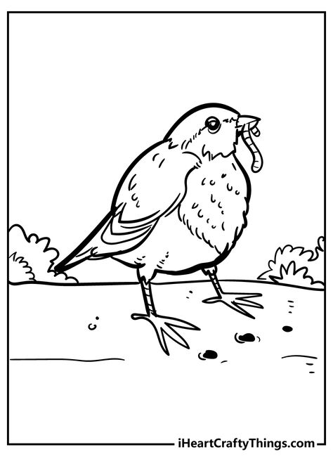 Robin Coloring Pages Robin Coloring Pages, Sunflower Hearts, Kids Part, Common Birds, Coloured Feathers, Bird Coloring Pages, Coloring Page Ideas, Tiny Bird, Lovely Creatures