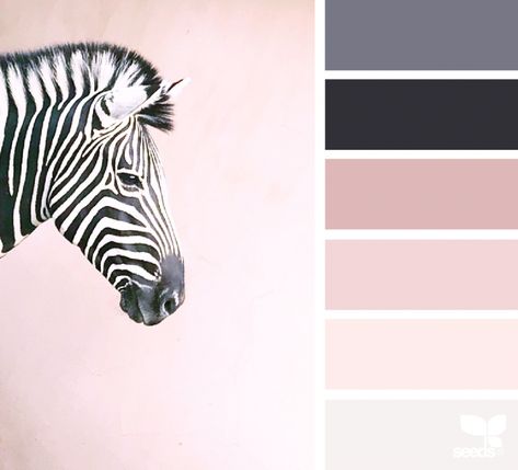 Black Archives, Seeds Color, Color Palette Pink, Color Image, Bedroom Color Schemes, Design Seeds, Bedroom Paint Colors, Trendy Bedroom, Color Palette Design