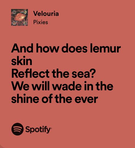 Pixies Velouria, Pixies Lyrics, Spotify Lyrics, Lyrics Aesthetic, Songwriting, Songs, Music