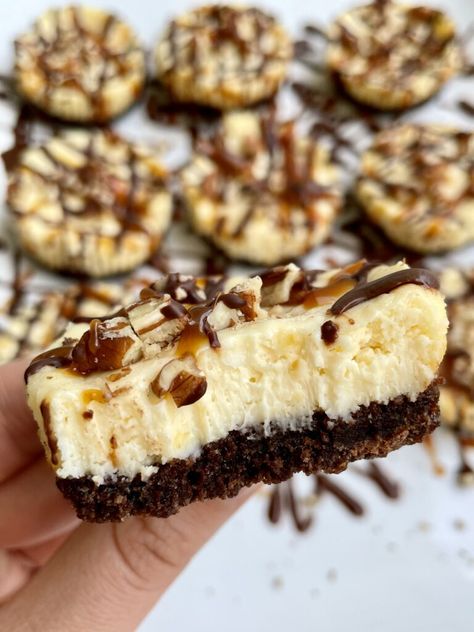 Turtle Cheesecake Cupcakes, Mini Turtle Cheesecake Recipe, Mini Turtle Cheesecakes, Turtle Desserts, Mini Turtle Cheesecake, Turtle Pumpkin Pie, Turtle Cheesecake Bars, Cheesecake Deserts, Turtle Dessert