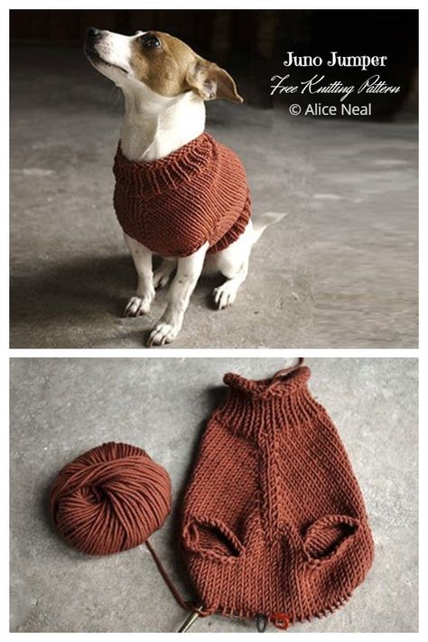 Knit Dog Sweater Free Knitting Patterns - Knitting Pattern Knit Pet Sweater Free Pattern, Knit Sweater For Cat, Sweater For Cat Pattern, Cat Clothes Knitting Pattern, Dog Knit Sweater Pattern Free, Knit Small Dog Sweater Free Pattern, Doggie Sweater Knit Pattern Free, Knitting Cat Sweater, Knitting Dog Sweaters Pattern Free