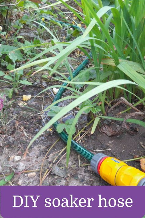 Diy Soaker Hose, Garden Watering System, Soaker Hose, Garden Watering, Water Hose, Back Gardens, Easy Garden, Flower Bed, Back Garden