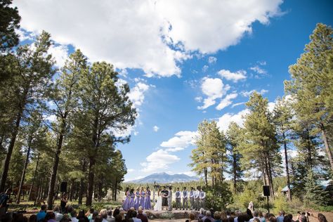 Flagstaff venues Flagstaff Arboretum Wedding, Grand Canyon Wedding, Flagstaff Wedding, Arboretum Wedding, Winter Wedding Venues, Flagstaff Az, Sedona Wedding, Inexpensive Wedding Venues, Places To Get Married