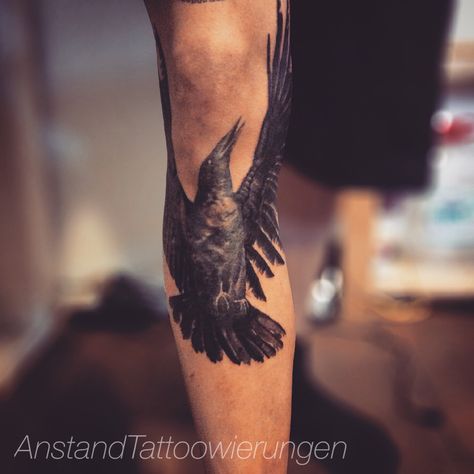 Black and Grey Crow/Bird tattoo On leg / shin by Facebook.com/anstandtattoowierungen Bird Shin Tattoo, Crow Leg Tattoo, Bird Tattoo On Leg, Bird Leg Tattoo, Corvid Tattoo, Tattoo Perna, Bluebird Tattoo, Tattoo Sites, Tattoo On Leg