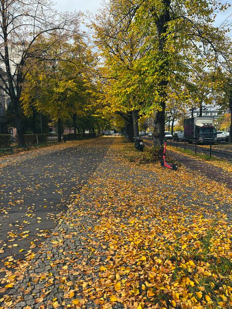 Autumn in Berlin, Germany Autumn In Berlin, Berlin Autumn, Travel Europe, Berlin Germany, Europe Travel, Berlin, Germany, Travel, Quick Saves