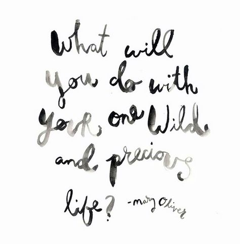 What will you do with your one wild and precious life?  ~Mary Oliver One Wild And Precious Life, Wild And Precious Life, Mary Oliver, So Real, Deep Down, Typography Quotes, More Than Words, Photo Quotes, Life Advice