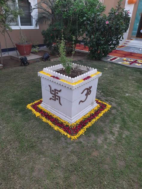 #Tulsi ji Rangoli Around Tulsi Pot, Tulsi Plant Decor, Tulsi Pooja Decoration, Tulsi Pot Design Traditional, Tulsi Chaura Design, Tulsi Pot Design, Tulasi Pot Designs Painting, Tulsi Tree, Thulasi Plant Decoration