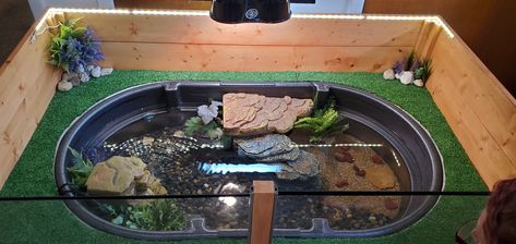 Diy indoor turtle pond Diy Aquatic Turtle Habitat, Indoor Pond Ideas, Turtle Tub, Aquatic Turtle Habitat, Turtle Tank Setup, Pond Habitat, Turtle Terrarium, Indoor Pond, Turtle Aquarium