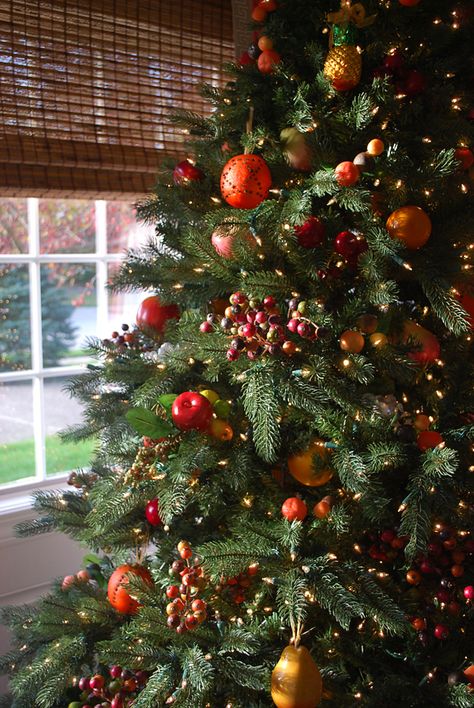 Colonial Style Christmas Tree, Orange Christmas Tree, Christmas Tree Theme, Fruit Christmas, Williamsburg Christmas, Fruit Christmas Tree, Floral Christmas Tree, Apple Christmas, Pinterest Christmas