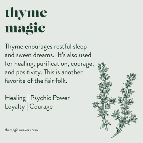 Thyme Properties, Thyme Magical Properties, Magic Properties Of Herbs, Magical Properties Of Thyme, Magical Properties Of Mint, Blessed Thistle Magical Properties, Magickal Herbs Herbal Magic, Herbs And Their Magical Properties, Thyme Medicinal Properties