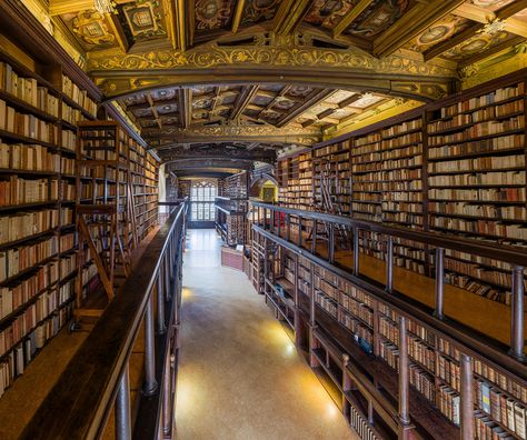 Stunning Pictures of the Oxford Library – Fubiz Media Oxford Library, Harry Potter Locations, Gutenberg Bible, Hogwarts Library, University In England, Bodleian Library, Toyo Ito, Dream Library, Rem Koolhaas