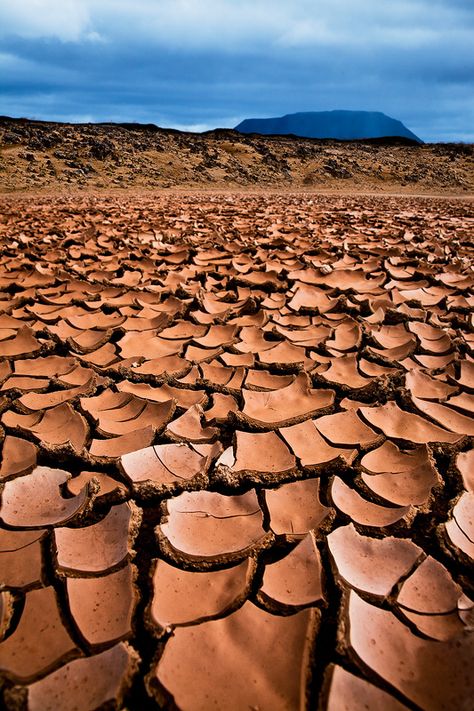 Iceland - Mývatn: Cracked Earth Rain falls over a distant mountain in front of a dried mud field at Mývatn Lake - an area famous for geothermal activity. Cracked Earth, Iceland Island, Travel Report, Portfolio Photography, Iceland Travel, Catamaran, Patterns In Nature, Photography Blog, Nature Pictures