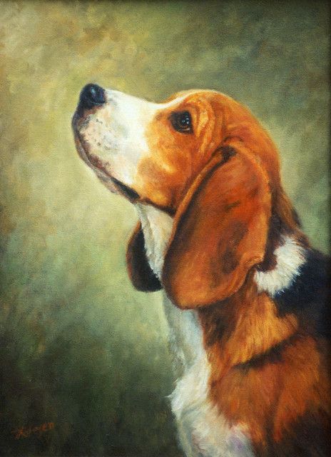 Puppy Painting, Pocket Beagle, Beagle Art, Head Study, Dog Portraits Painting, Adoptable Beagle, 강아지 그림, Calm Dogs, Beagle Puppy