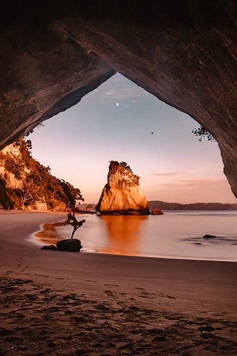 Cathedral Cove, North Island Photography Spots, Dancing the Earth Muriwai Beach, Hiking New Zealand, Cathedral Cove, North Island New Zealand, New Zealand Adventure, Island Photography, New Zealand Landscape, Visit New Zealand, New Zealand North