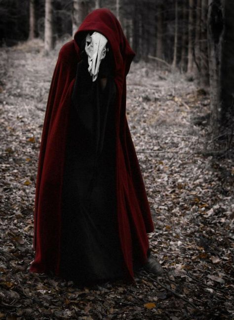 the night is so dark and the wolf so very hungry, yet still I walk the path. Red Cloak, Cloak, Forest, Mask, Red, White