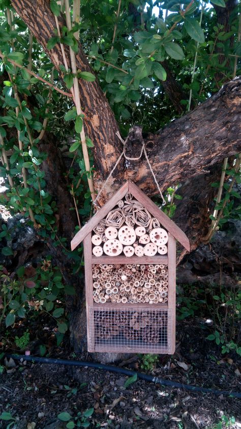 Un hotel para insectos beneficiosos Bug Houses, Garden Arch, Outdoor Structures, Hotel, Quick Saves