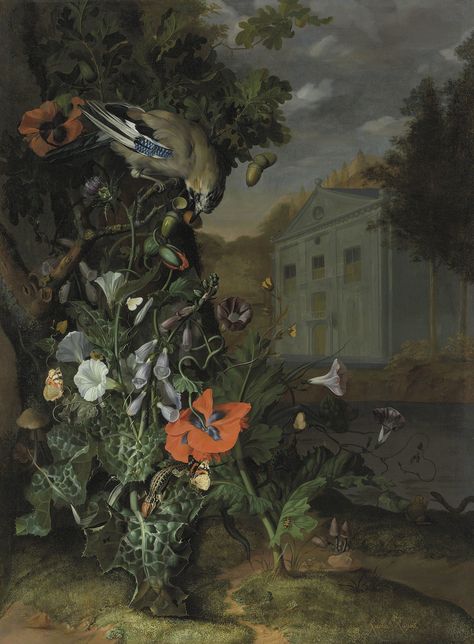 Rachel Ruysch, Classical Facade, Dutch Still Life, Female Painters, Dutch Golden Age, Forest Floor, Chiaroscuro, Nature Landscape, Still Life Painting