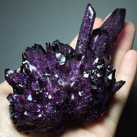 A dark amethyst quartz cluster. This variant of amethyst is somewhat rare. #Amethyst #Quartz Purple Inspiration, Amethyst Healing Properties, Dark Amethyst, Crystal Aesthetic, Purple Quartz, Amethyst Healing, Spirit Quartz, Pretty Rocks, Inspiring Things