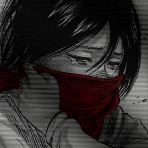 Mikasa Icon, Pfp Black And White, Pfp Black, Aot Wallpaper, Anime Toon, Eren X Mikasa, Eren And Mikasa, Red Icons:), Anime Cover Photo