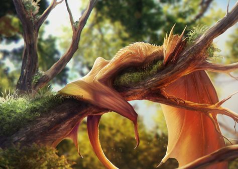 Wyvern Dragon Art, Tiny Dragon Art, Dragon Realistic, Wyvern Art, Walpapers Cute, Tiny Dragon, Dragon Artwork Fantasy, Cool Dragons, Mythical Animal