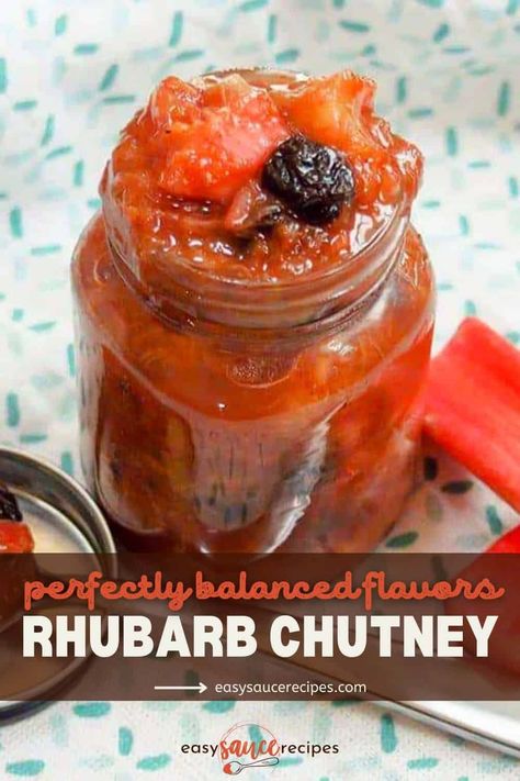 Rhubarb Chutney is a warm, easy chutney recipe perfect for making a savory dish out of tangy and delicious rhubarb! Ready in 15 minutes! Can You Freeze Rhubarb, Rhubarb Chutney, Freeze Rhubarb, Avocado Salsa Recipe, Easy Spaghetti, Condiment Recipes, Ginger And Cinnamon, Chutney Recipe, Rhubarb Recipes