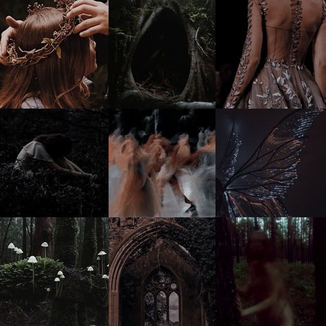 Book Aesthetic A Dance With The Fae Prince Aesthetic, Fae Prince Aesthetic, Fairytale Book Aesthetic, Fae Prince, Prince Aesthetic, The Fae, Book Aesthetic, Cool Artwork, Mood Boards