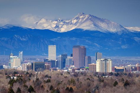 Enjoy Denver at a Distance With These Unique Online Experiences Denver Mountains, Denver Skyline, Denver Museums, Visit Denver, Denver Botanic Gardens, Red Rock Amphitheatre, City Vacation, Hit And Run, Scenic Byway