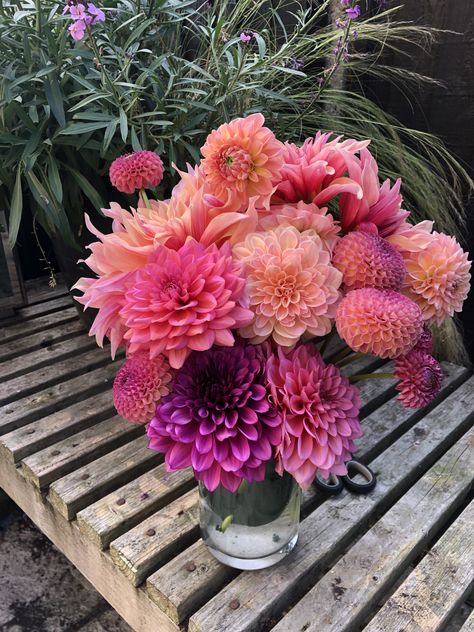 Purple Flame, American Dawn, Burlesca, Labyrinth, Linda’s Baby. Delilah Flower, Sarah Raven, Purple Flame, Growing Dahlias, Wedding Reception Flowers, Boquette Flowers, Cut Flower Garden, Flower Therapy, Beautiful Bouquet Of Flowers