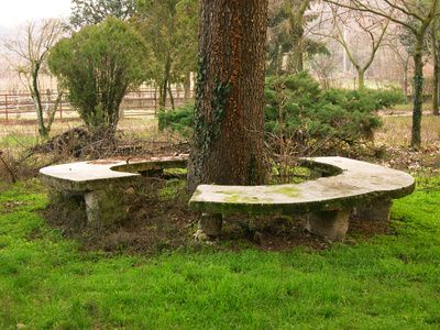 Maybe pour concrete for a bench under the front tree Tree Seating, Pallet Pergola, Bench Around Trees, Backyard Bench, Landscape Furniture, Farmhouse Yard, Landscaping Around Trees, Tree Bench, Tree Logs